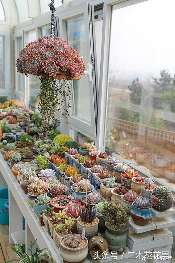 阳光房建设,怎样建造阳光房