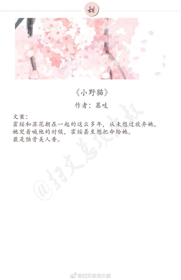 现言温馨甜宠文推荐,好看的甜宠文推荐高分