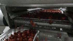 吃红枣真的很补血吗,红枣不煮会补血嘛