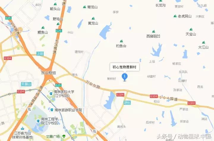 锋哥的初心训犬,锋哥的初心宠物讲解