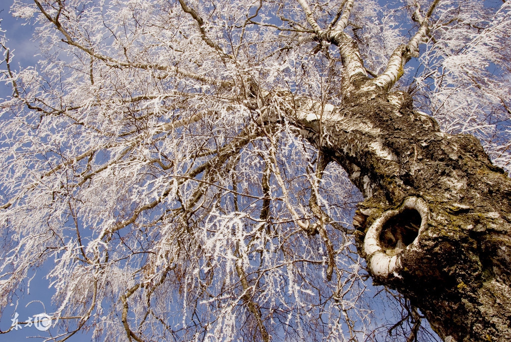 古代女人的三种习俗,古代女人必须做的四件事