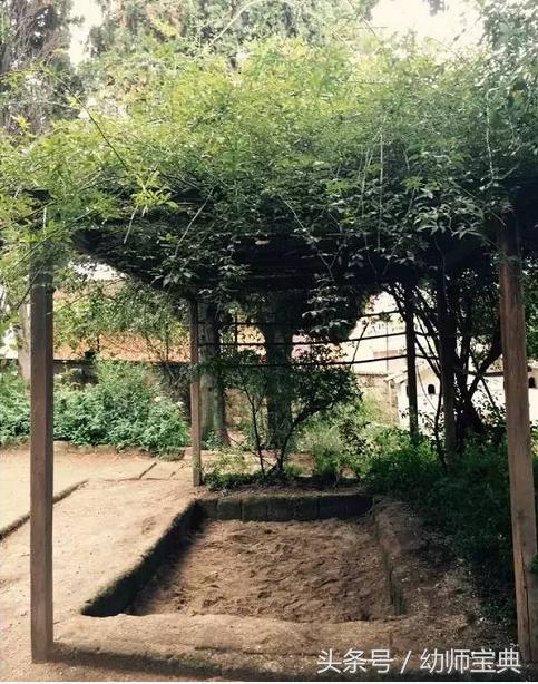 华德福幼儿园特点,华德福幼儿园的优缺点