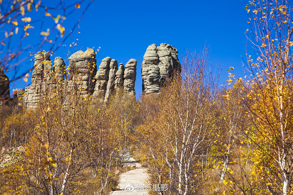 把喜欢的事做到极致诗句,能把喜欢的事做好