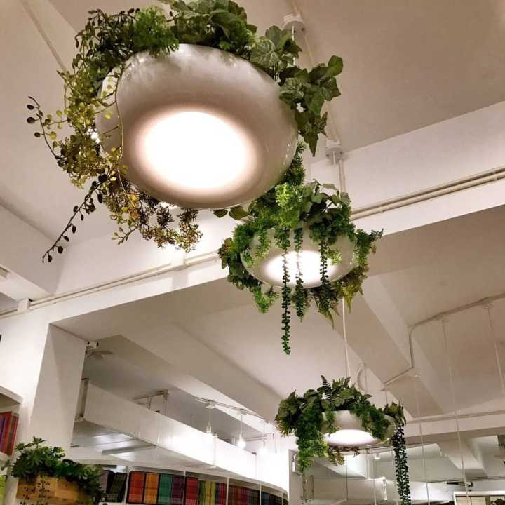 「跟着郭小Lu去逛吃」骚荡愚园路