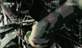 食客对菜品的评价,食客采访一般问什么问题