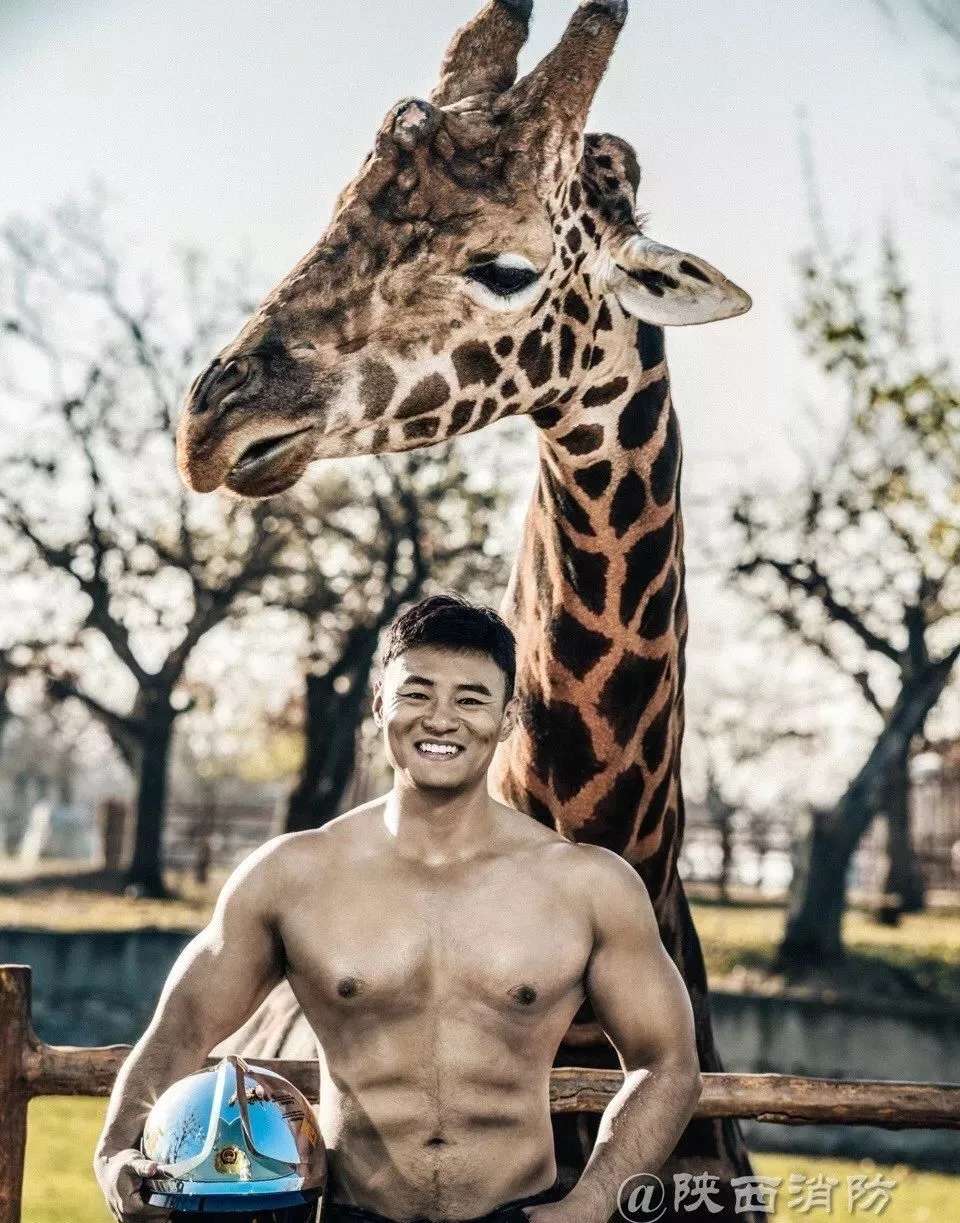 中国消防员肌肉男电影叫什么,消防员肌肉写真