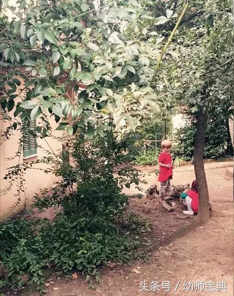 华德福幼儿园特点,华德福幼儿园的优缺点