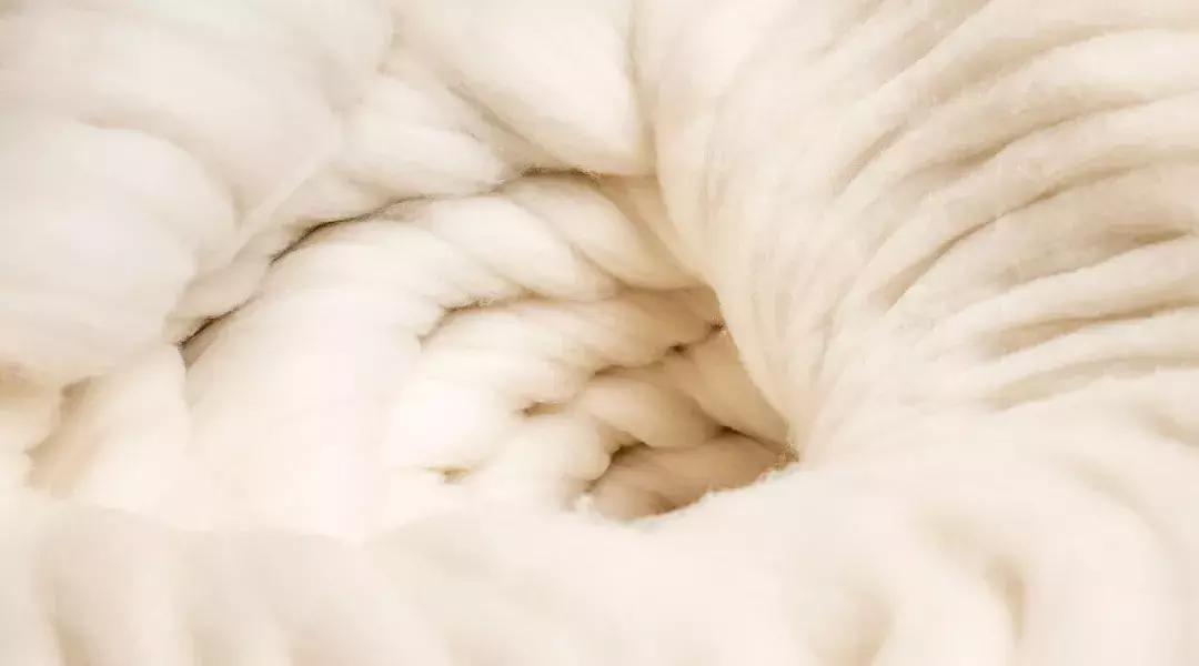 顶级鄂尔多斯羊绒女,高端纯羊绒鄂尔多斯