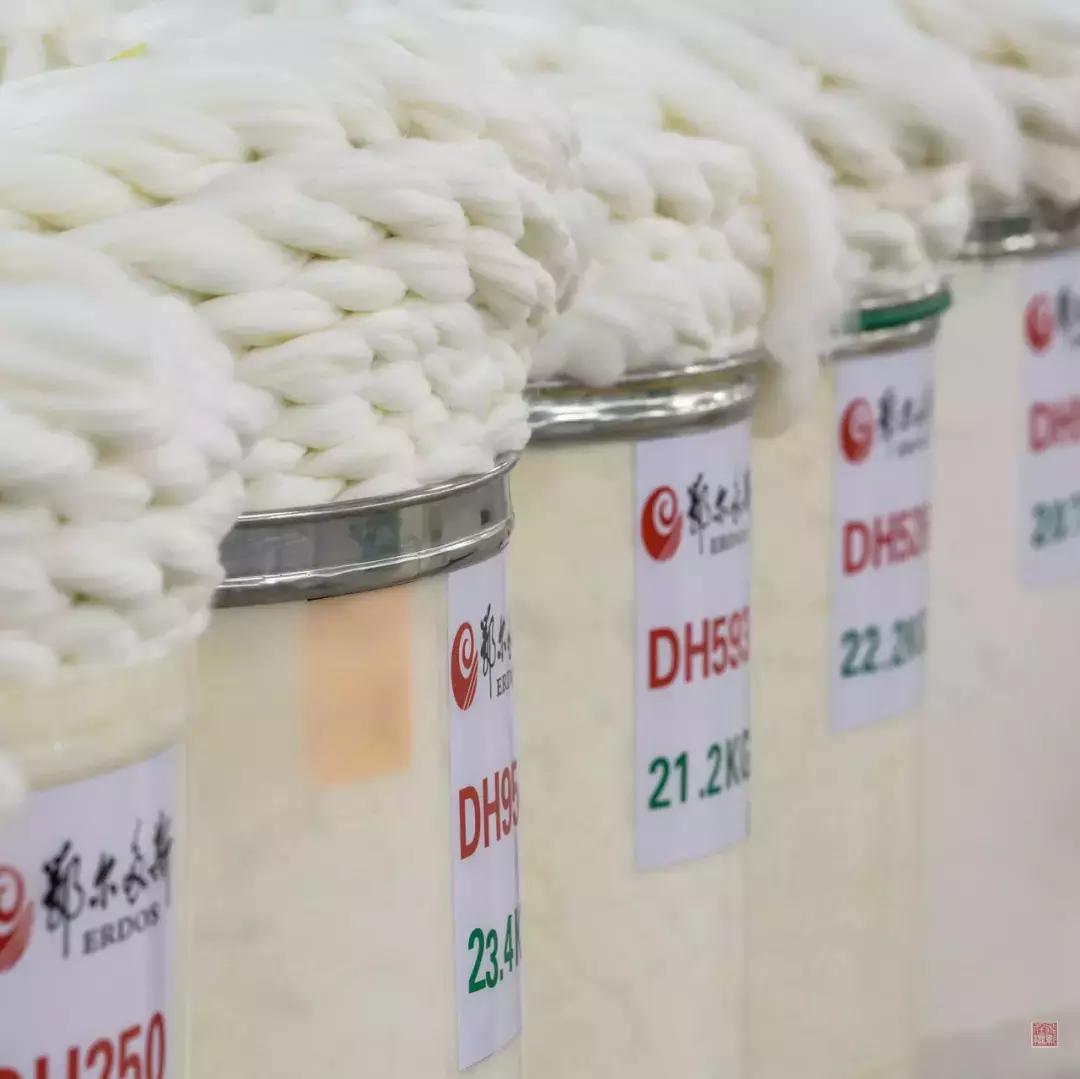 顶级鄂尔多斯羊绒女,高端纯羊绒鄂尔多斯