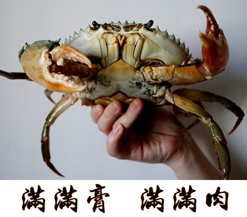 螃蟹怎么保存隔两天吃,螃蟹怎么保存放冰箱