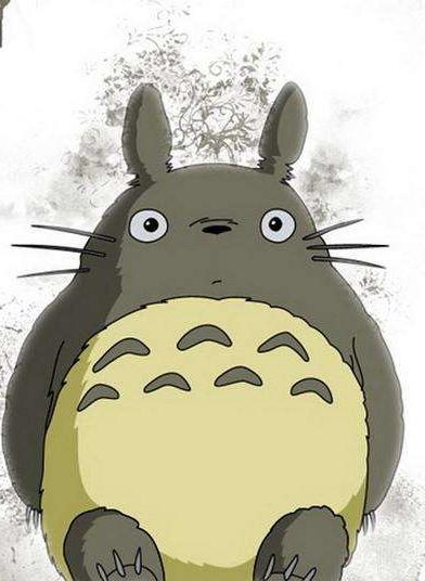 龙猫的饲养方法和禁忌,龙猫的正确饲养方法