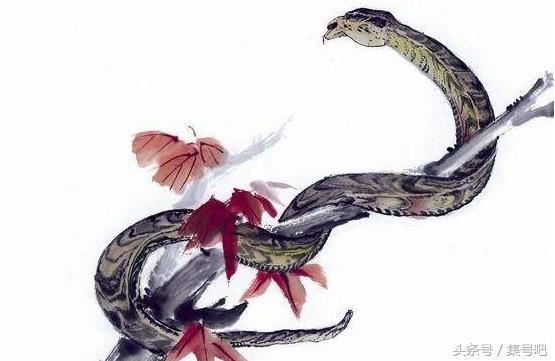 十二生肖2018年运势大全,2018年十二生肖整体运势如何呢