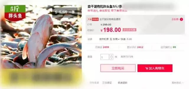 查干湖胖头鱼哪家最正宗,查干湖胖头鱼56斤抖音团购