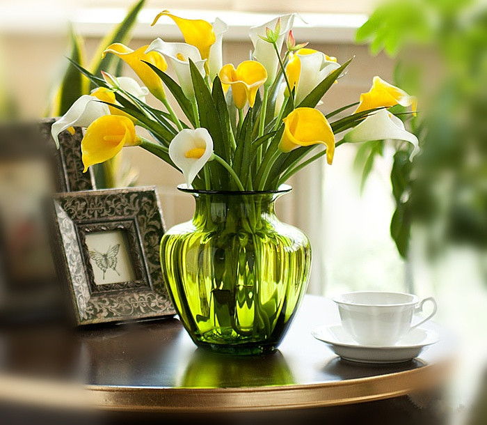 每天一花马蹄莲,一月花开马蹄莲