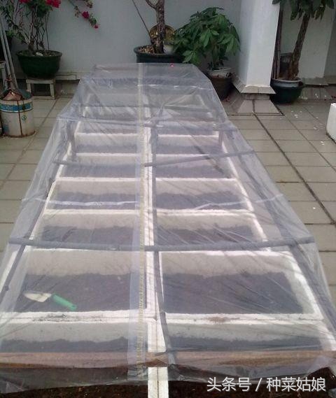 种花土壤里面有虫子怎么办,种花的盆土很潮湿怎么办