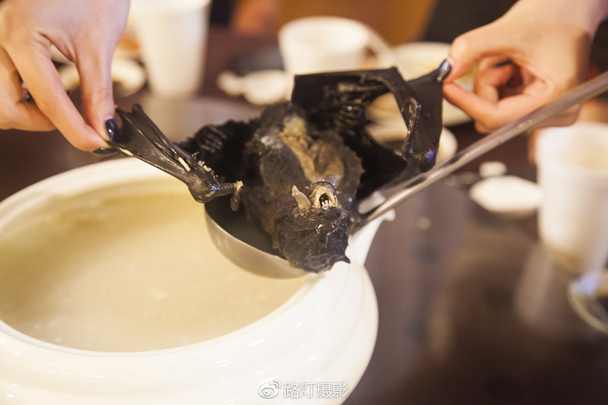 把喜欢的事做到极致诗句,能把喜欢的事做好