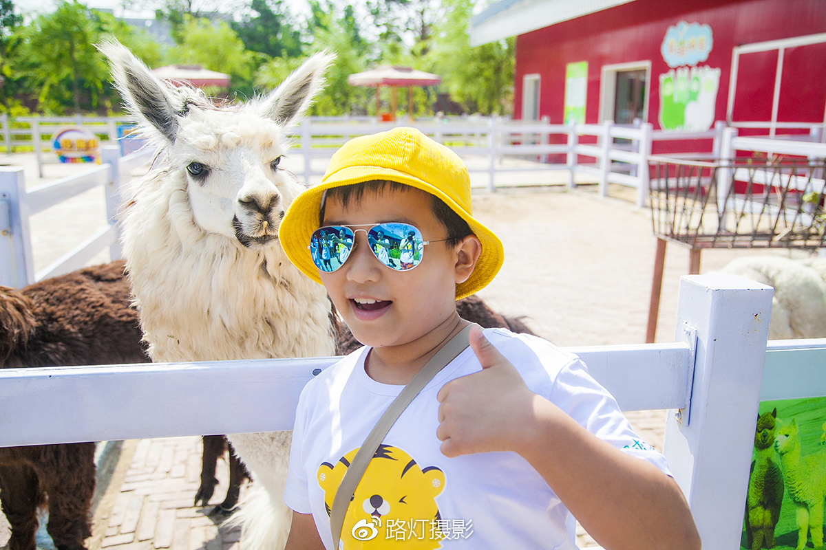 把喜欢的事做到极致诗句,能把喜欢的事做好