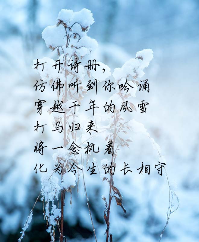 陪你度过漫长岁月经典片段,放松一下陪你度过漫长岁月