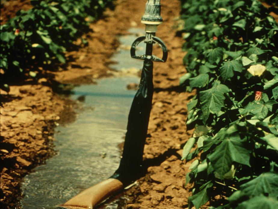 喷灌机喷头有哪些,喷灌机的喷头有哪些