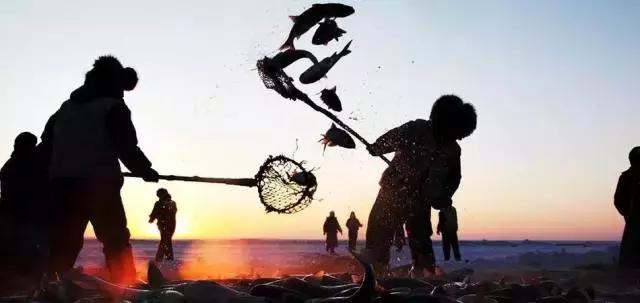 查干湖胖头鱼哪家最正宗,查干湖胖头鱼56斤抖音团购