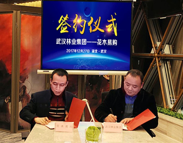 合作共赢!武汉林业集团与花木易购强强联手!