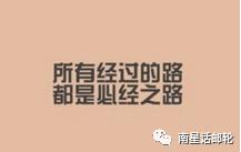 国际邮轮海乘专业怎么样,邮轮海乘怎么学