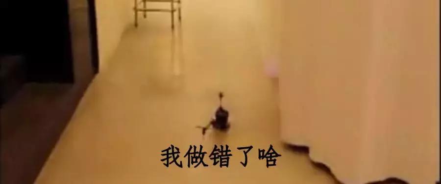 如何策划一场浪漫又有创意的婚礼,如何让你的婚礼创意十足