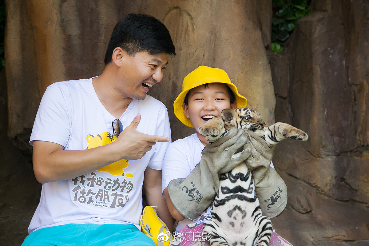 把喜欢的事做到极致诗句,能把喜欢的事做好