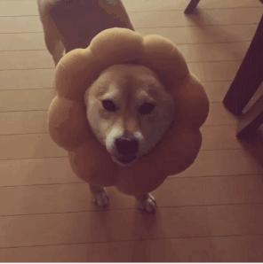 日本女艺人拍摄花絮,女演员拍戏结果以假乱真