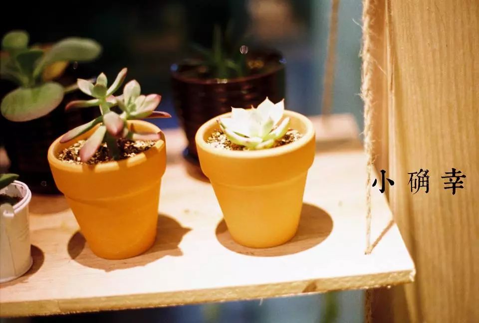 支付宝年度账单关键词含义,支付宝2020年度账单关键词解读