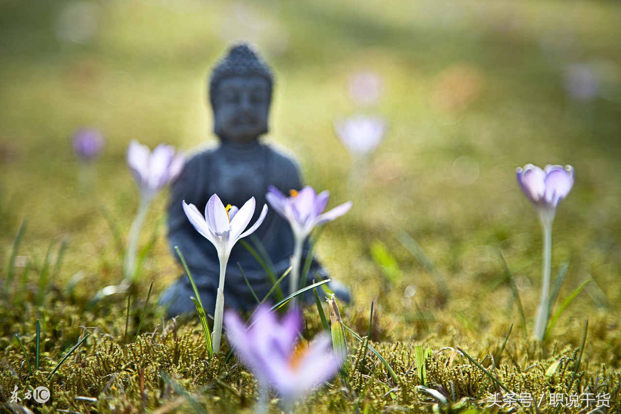 摒弃职场螺丝钉的KPI，跳槽智多星就是你想要的？