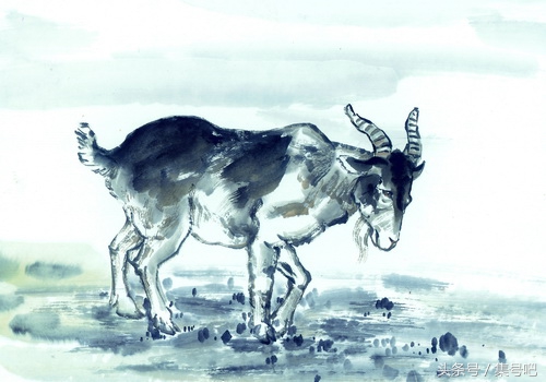 十二生肖2018年运势大全,2018年十二生肖整体运势如何呢