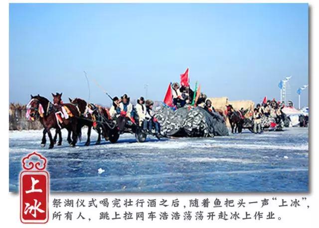 查干湖胖头鱼哪家最正宗,查干湖胖头鱼56斤抖音团购