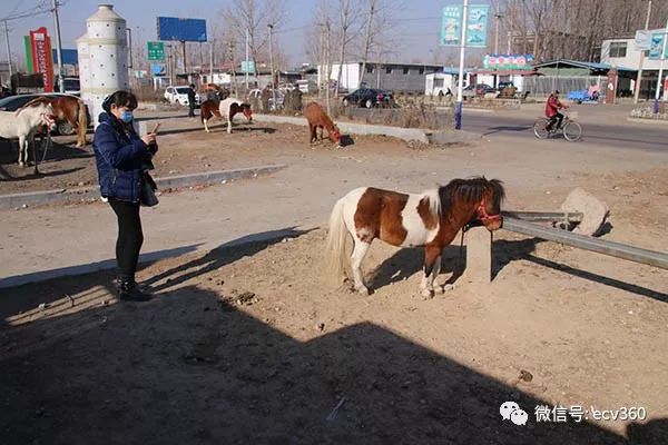 魏朝柯:帅铃T6,旅程有你不孤单|卡车之友网