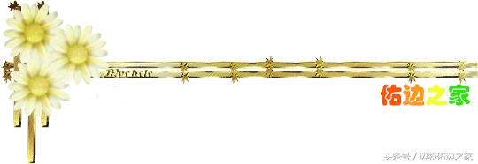 狗狗小常识视频,狗狗小常识文字大全