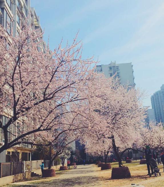 海淀区五道口房价多少钱一平方,北京海淀五道口附近房价