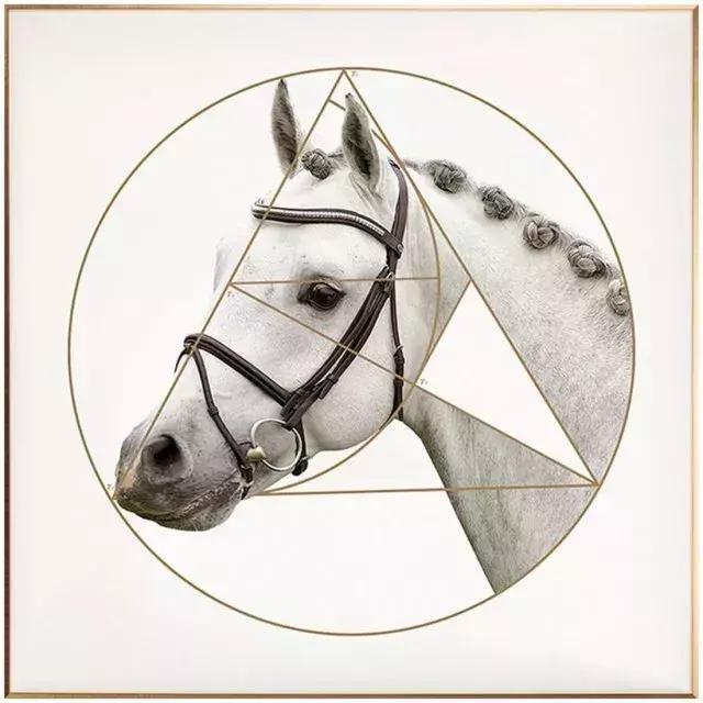 挂画这样选满屏的高级感,挂画极简侘寂轻奢挂画