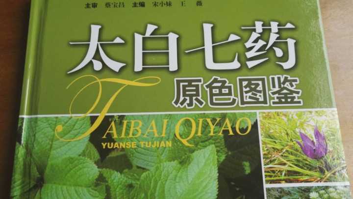 在网上买三七怎么选,在网上买三七注意事项