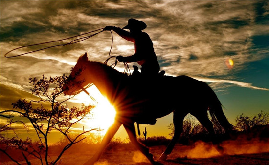 bolotie娉㈡礇棰嗗甫prada,bolotie娉㈡礇棰嗗甫闊╃増