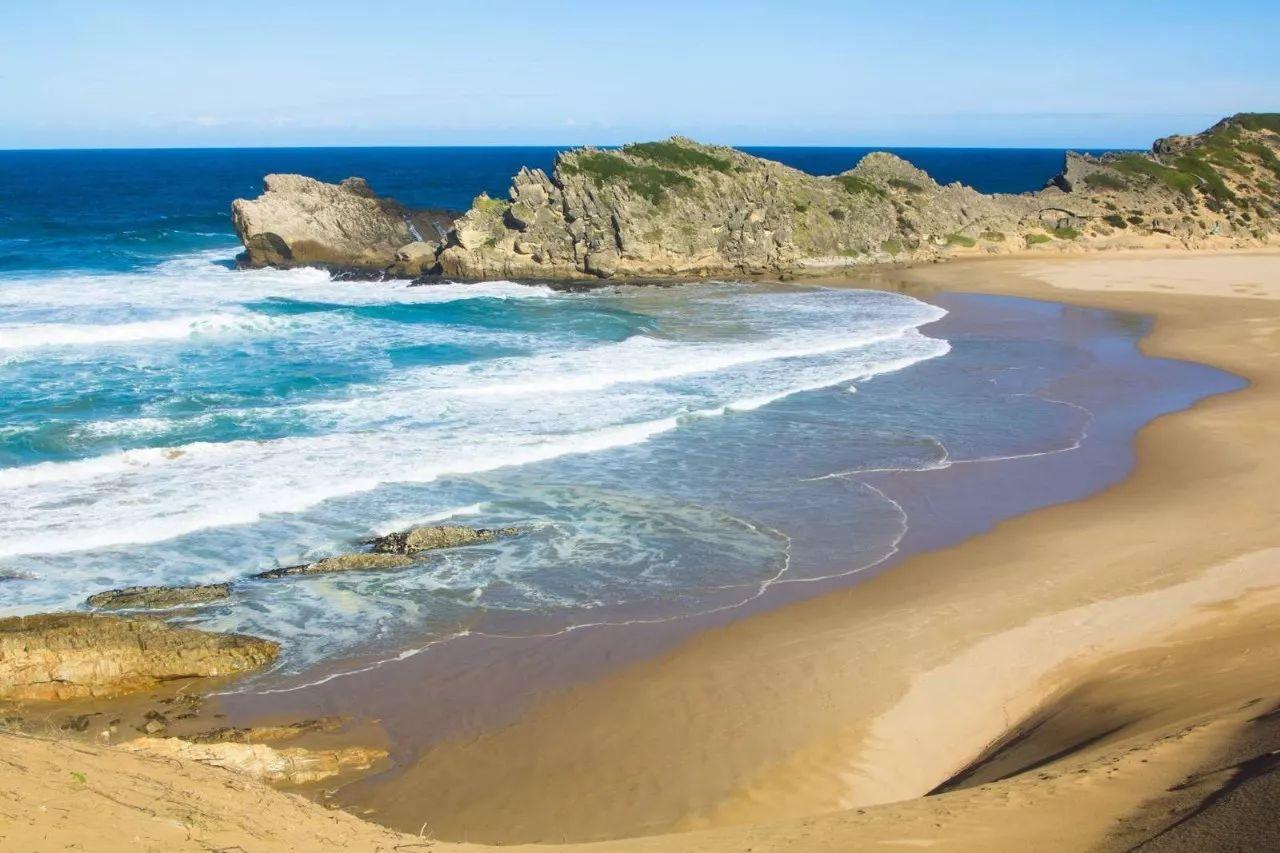 南非线路攻略|与鲨共舞、沙漠开花、隔海观鲸,你了解非洲吗?