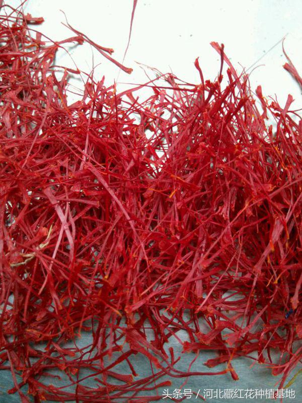 甄嬛传红花是什么药,甄嬛传中太医把脉就能判断怀孕