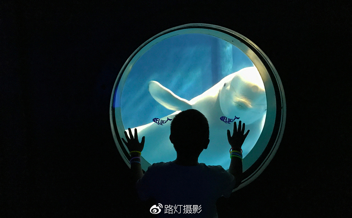 把喜欢的事做到极致诗句,能把喜欢的事做好