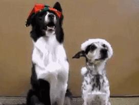 日本女艺人拍摄花絮,女演员拍戏结果以假乱真