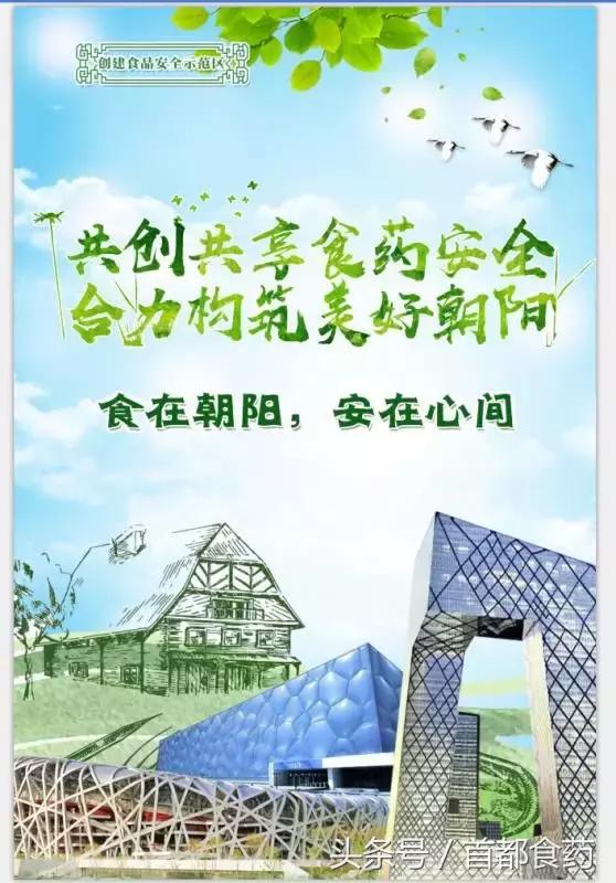 朝阳宣传海报制作,朝阳海报设计