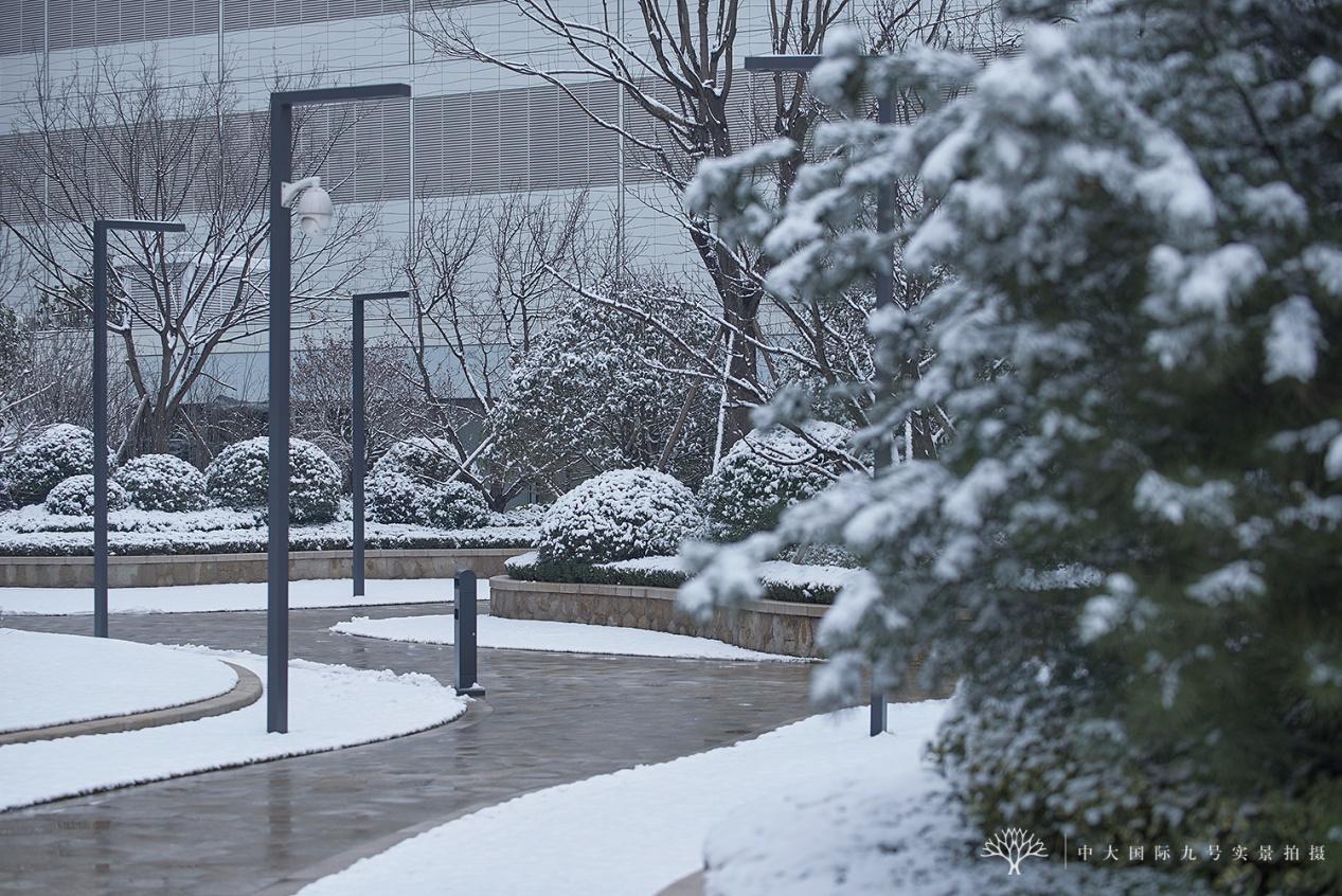 中大国际九号别墅,中大国际九号1094平米户型