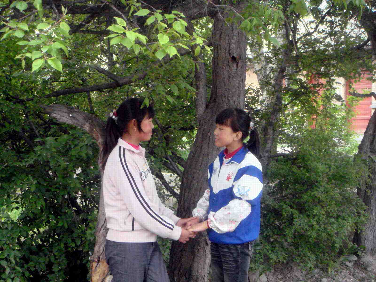 好朋友伤害了我该不该原谅,朋友被感情伤害了怎么办