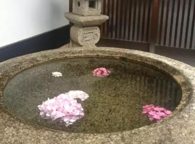 一篇吃透日语语法,日本茶道和中国茶道的区别