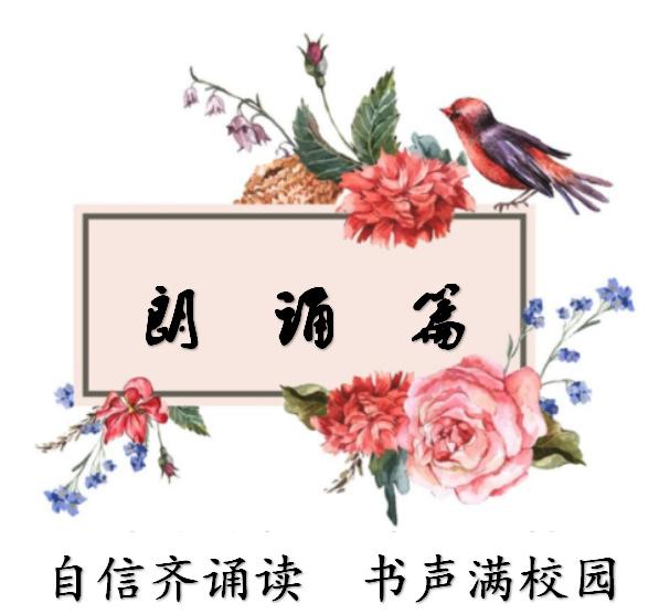 璀璨校园舞台绽放自信色彩——南宁市兴宁区中南小学第六届校园文化艺术节纪实