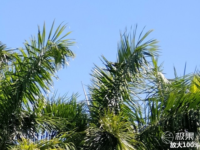 一加5t用一年的感受,一加5t深度解析