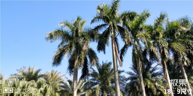 一加5t用一年的感受,一加5t深度解析